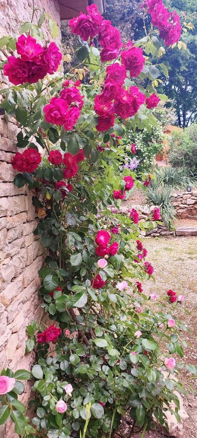 Aux Couleurs D'Esteil Sainte-Nathalène Dış mekan fotoğraf